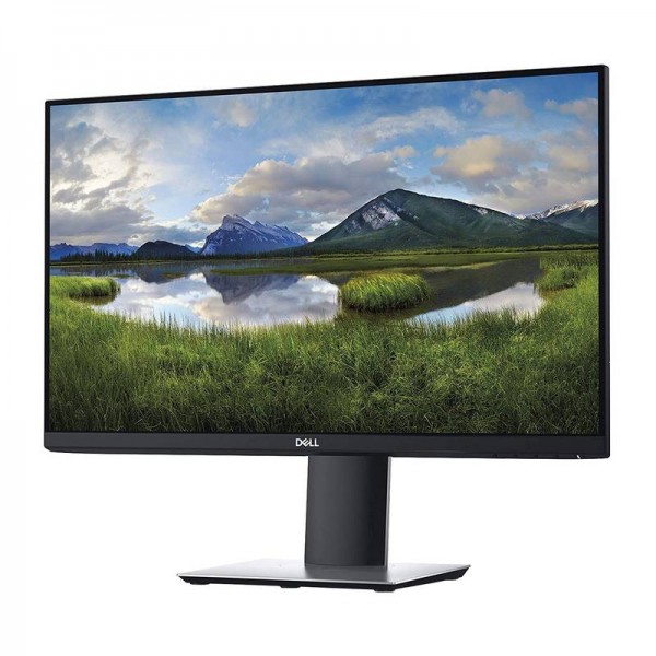 Dell Professional P2419H 24" TFT